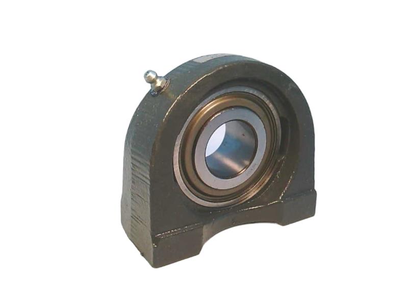 REGAL REXNORD TPB250X1-1/4