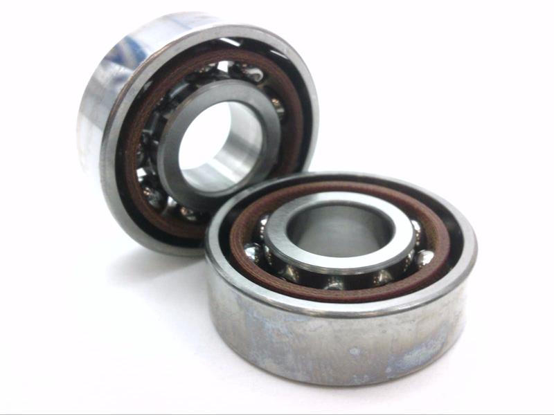 SCHAEFFLER GROUP 100HDM