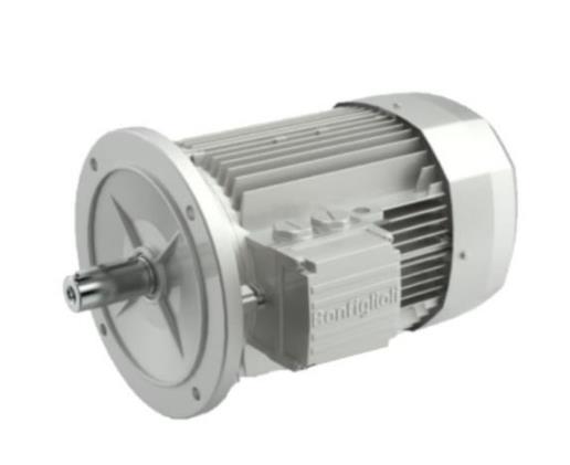 BONFIGLIOLI 000000000830630506