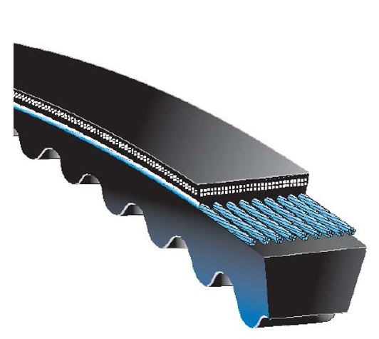 CONTINENTAL AG 5VX1600