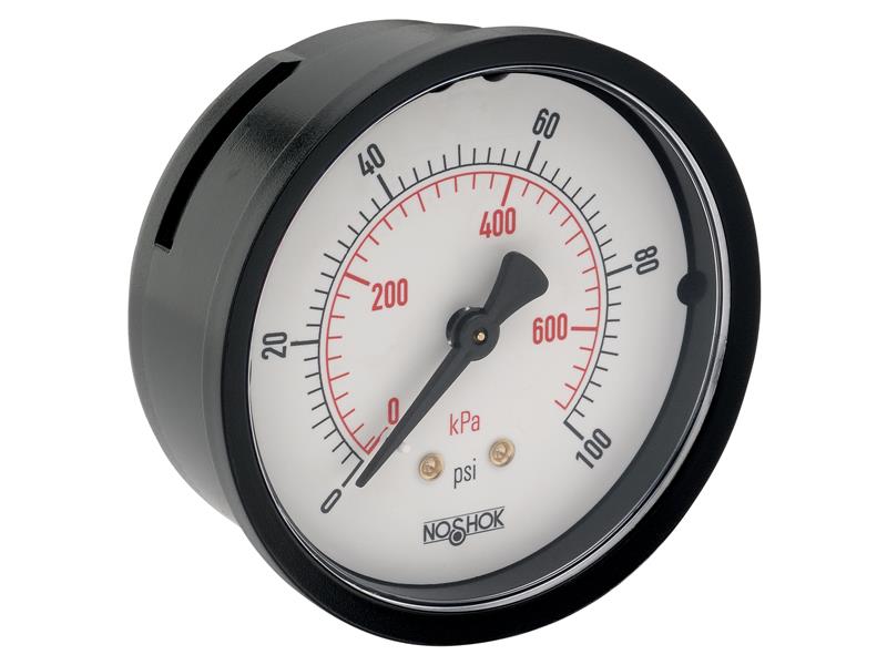 NOSHOK 25-110-160-PSI/BAR