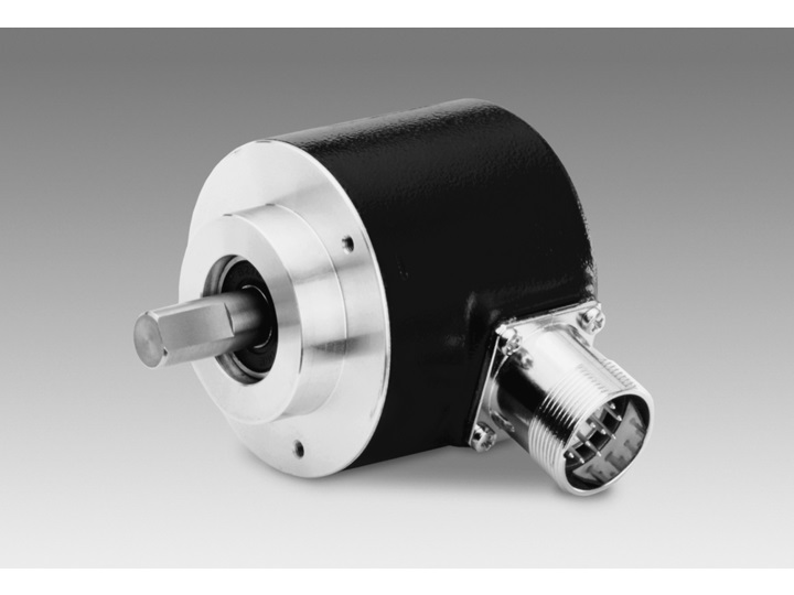 BAUMER ELECTRIC 11040132