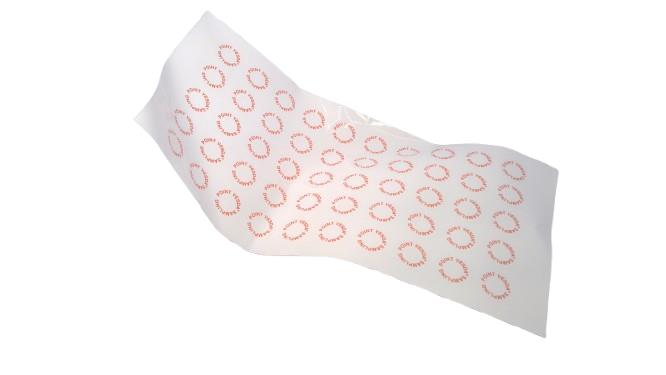 XTRALIS E700-SP-DCL-PNT