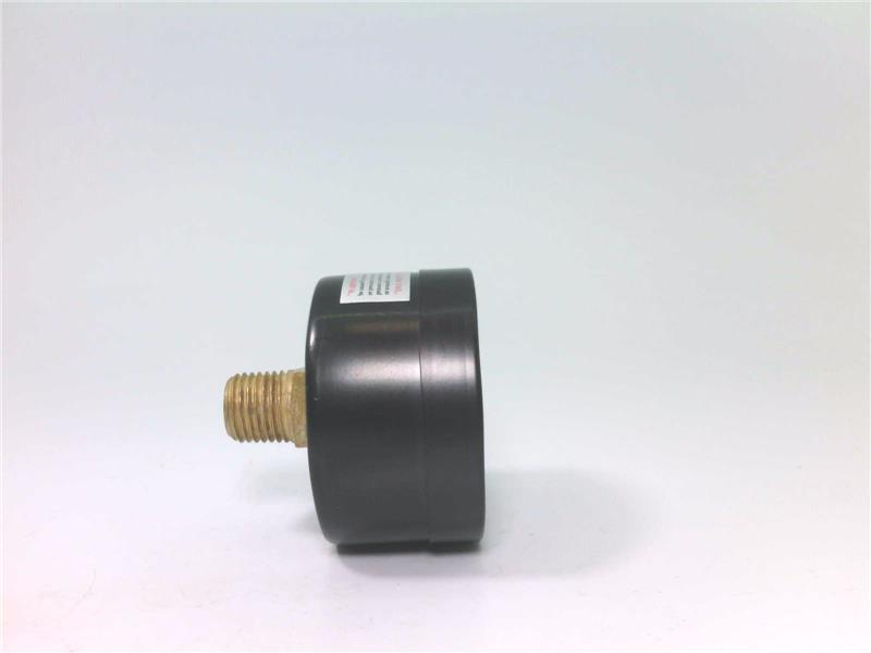 PIC GAUGES SE-102D-204B