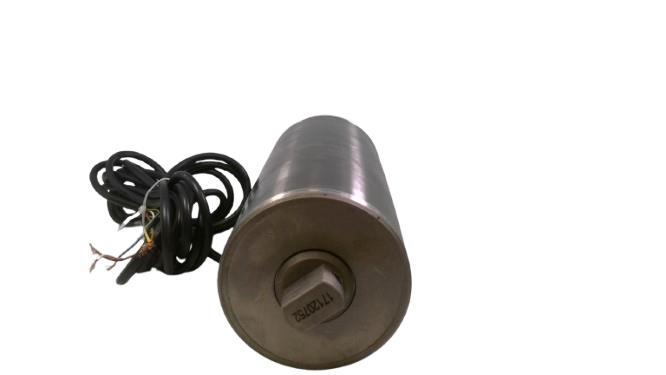 INTERROLL DL1133-AAA0AD0G9FSC-262MM