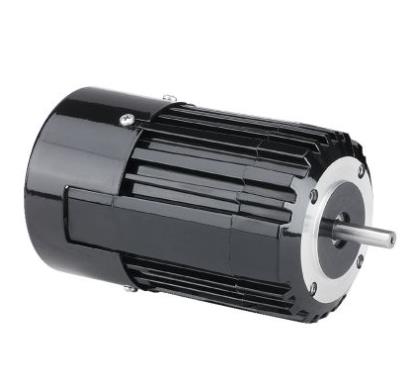 BODINE ELECTRIC 2895