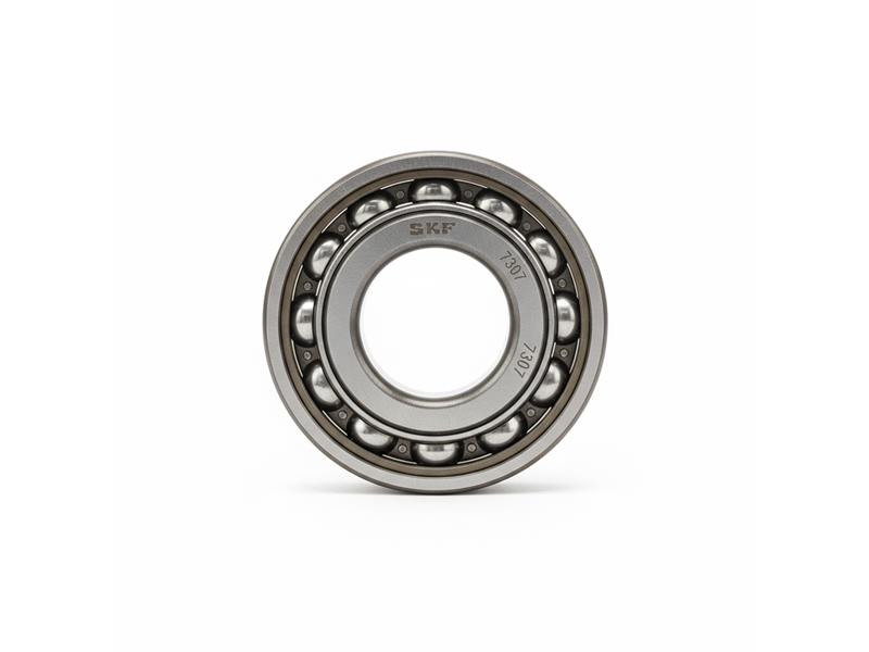 7307 by SKF
