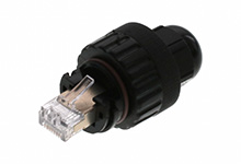 MOLEX ENQAM315-V