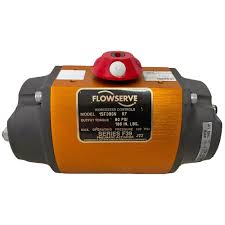 25F39SN-R7 by FLOWSERVE