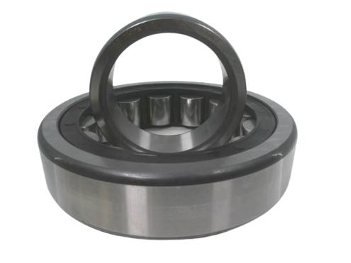 SCHAEFFLER GROUP NU317-E-TVP2