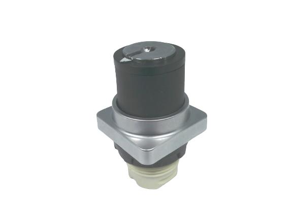 SCHNEIDER ELECTRIC 9001-D2L90