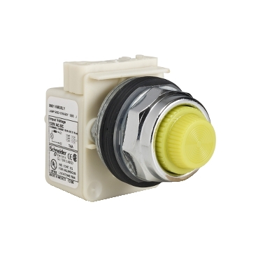 SCHNEIDER ELECTRIC 9001-KP38LYY31