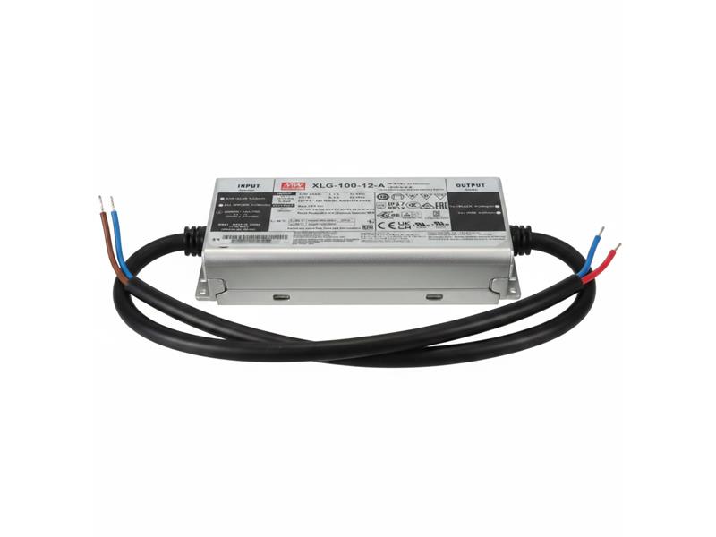MEAN WELL XLG-100-12-A