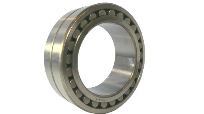 REGAL REXNORD 24024 CA W33