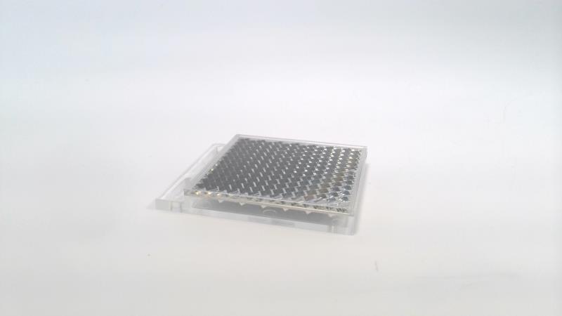 EFECTOR REFLECTOR TS-50X50/150°C-E21065