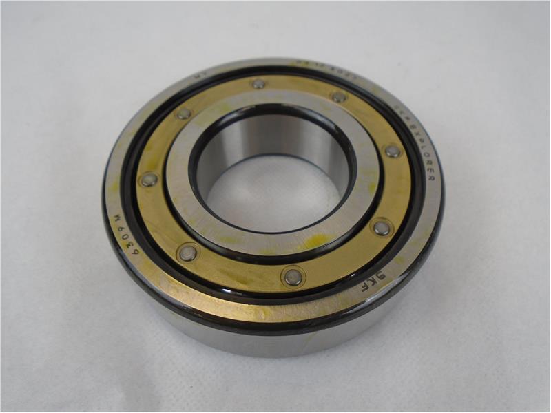 SKF 6309M4
