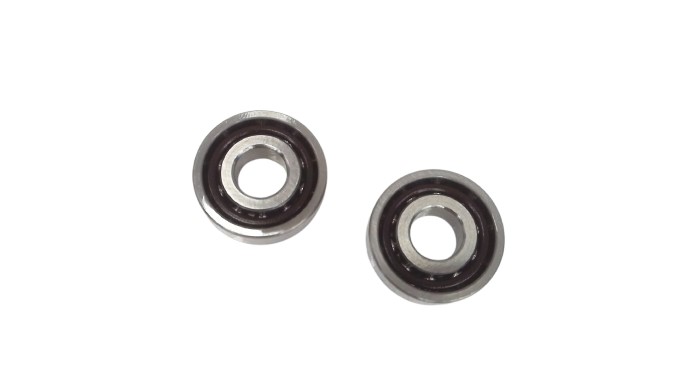 SCHAEFFLER GROUP 100HCDUM