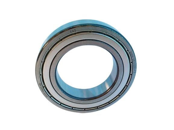 SCHAEFFLER GROUP 6009-Z