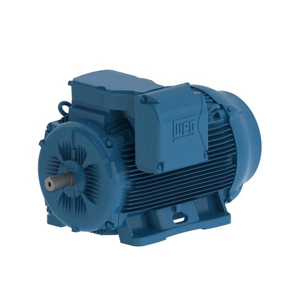 WEG 05536ET3Y250S/M-W22