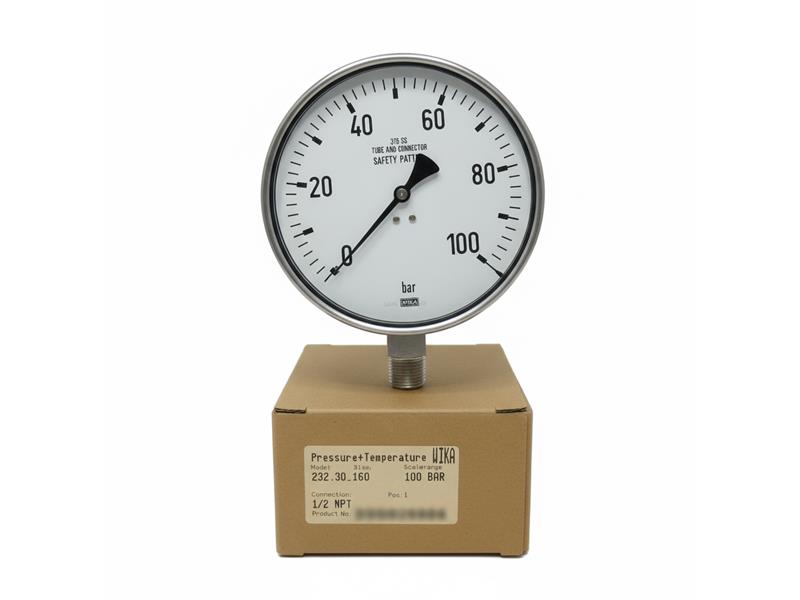 232.30/160/0-100/G1/2B-LM by WIKA