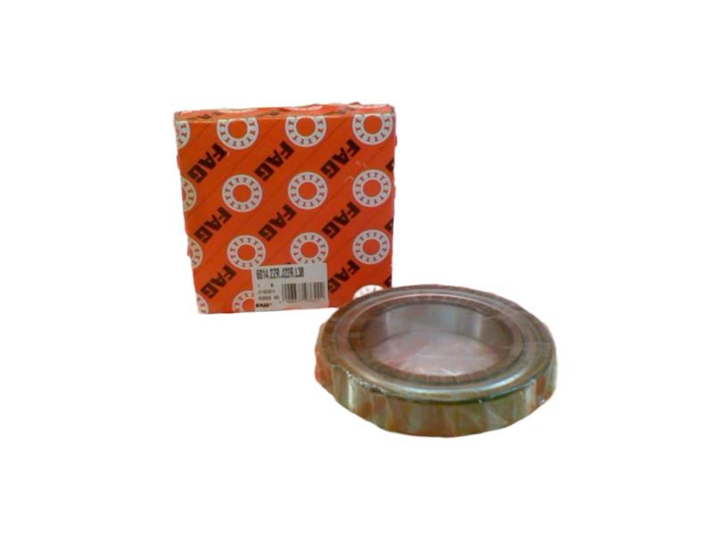 SCHAEFFLER GROUP 6014.2ZR.J22R.L38