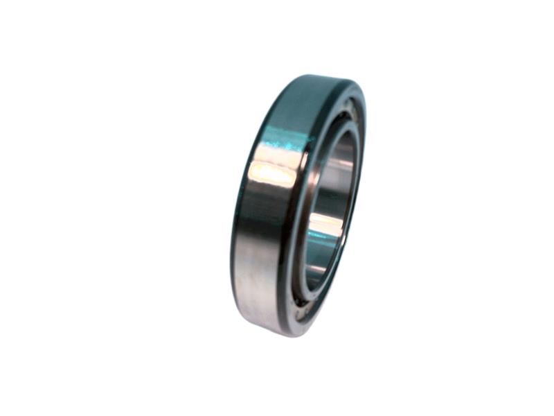 NSK NU1010CCG5P5YU17
