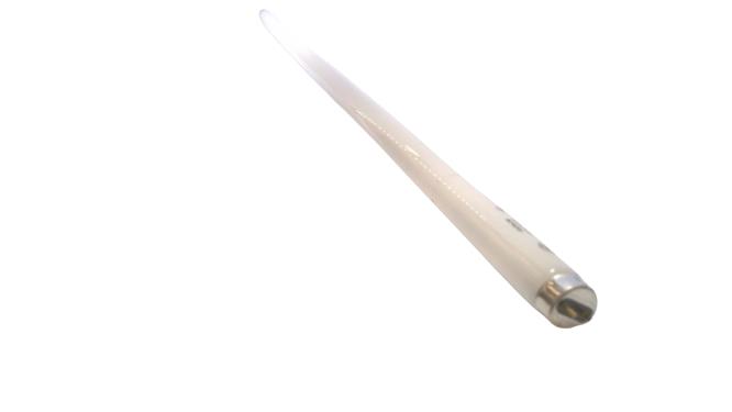 GENERAL ELECTRIC F30T8/CW