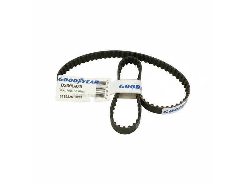 CONTINENTAL AG D300L075