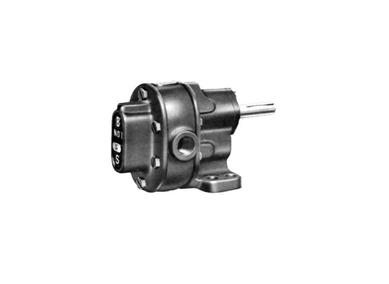 BSM PUMP 117-713-3-7