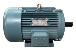 WORLDWIDE ELECTRIC EP20-36-256T