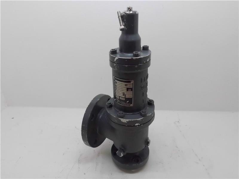 FEMA VALVES 3031-E-CN-001