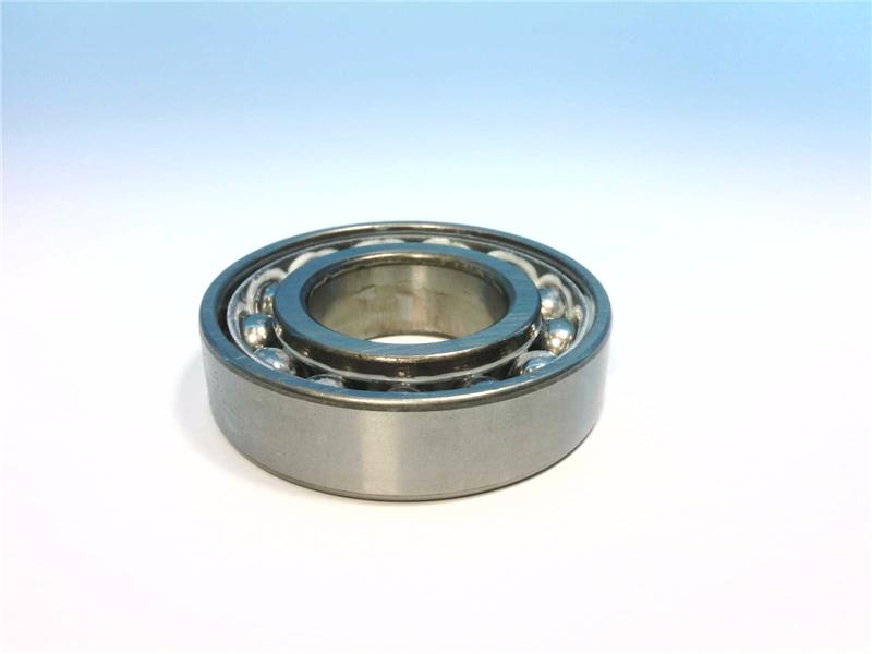 SCHAEFFLER GROUP 6007-C3