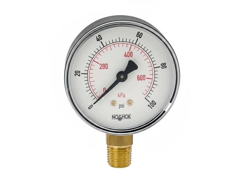 NOSHOK 25-100-30-PSI/BAR-BCR