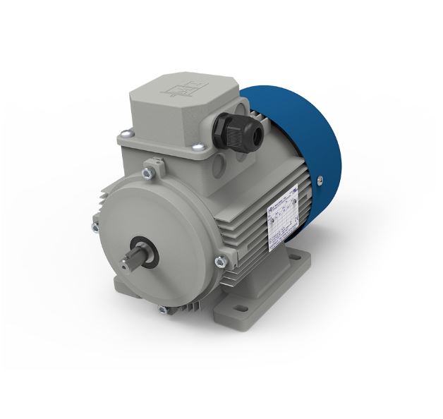 MOTORI ELETTRICI TN80B/4 IE2 14