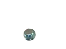 SMC PLUG18NPT