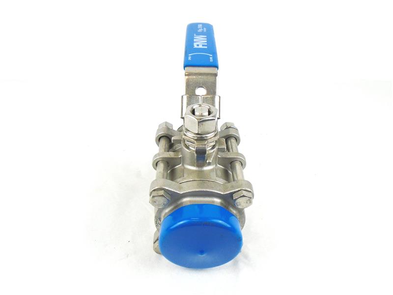 FNW VALVE CORP FNW-310A-SWJ
