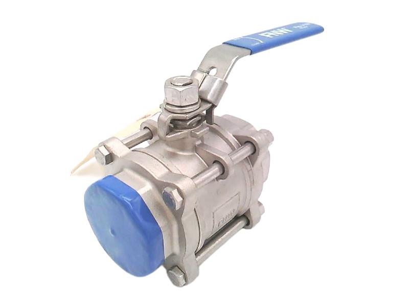 FNW VALVE CORP FNW310ASWK