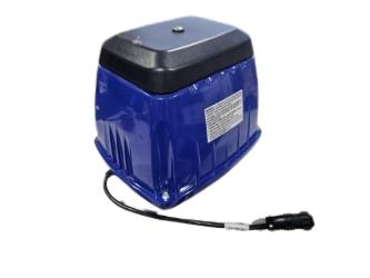 DIANN BAO INC DBMX200KT