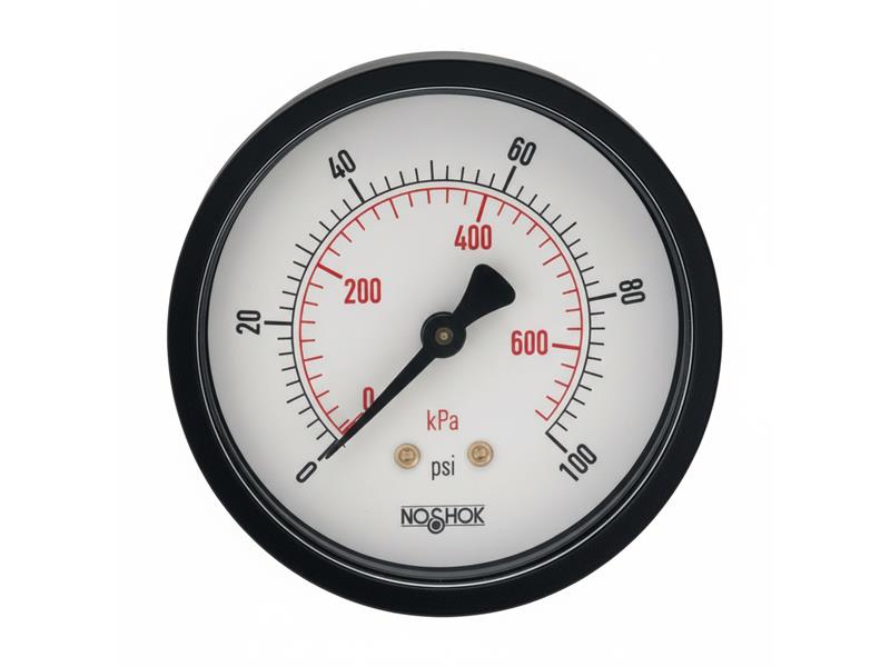 NOSHOK 25-110-100-PSI/KPA-SSB