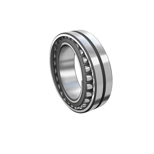 SKF N318ECM
