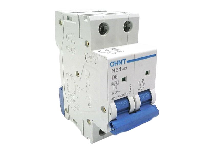 CHINT NB1-63D2P06