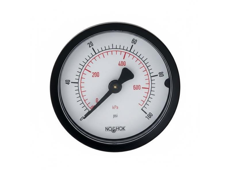 20-110-60-PSI/KG/CM2-CC by NOSHOK