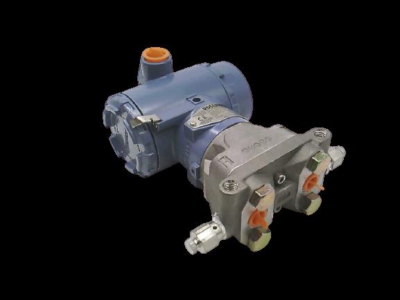 3051CD5A22A1AB4E8M5 by EMERSON