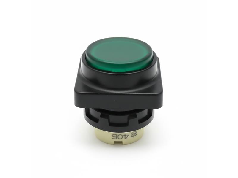 SCHNEIDER ELECTRIC D1Y-10