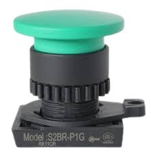 AUTONICS S2BR-P1G