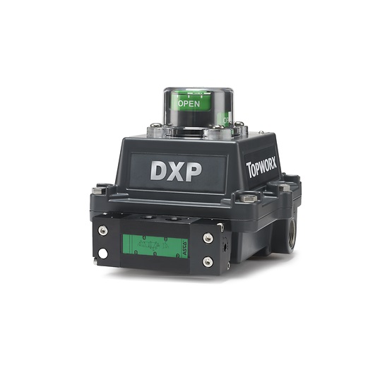 TOPWORX DXP-M21GNEB7S21