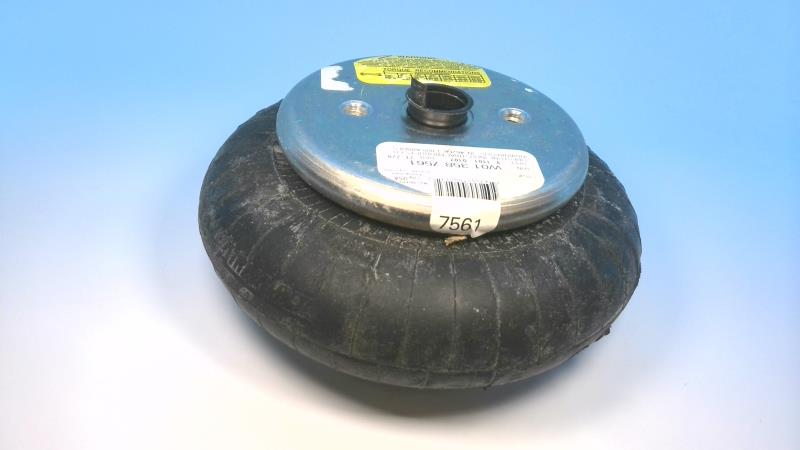 FIRESTONE W01-358-7561