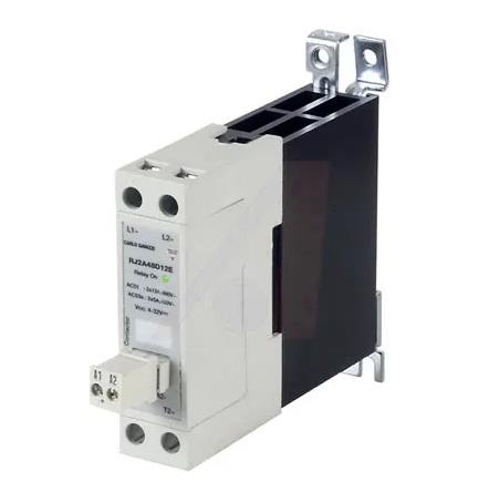 CARLO GAVAZZI RJ2A22D12E