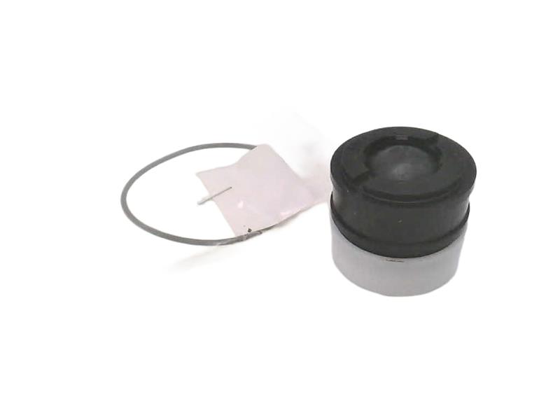 WATTS RK-009M2-CK2-3/4