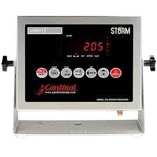 CARDINAL SCALES 205 2XX-PANEL